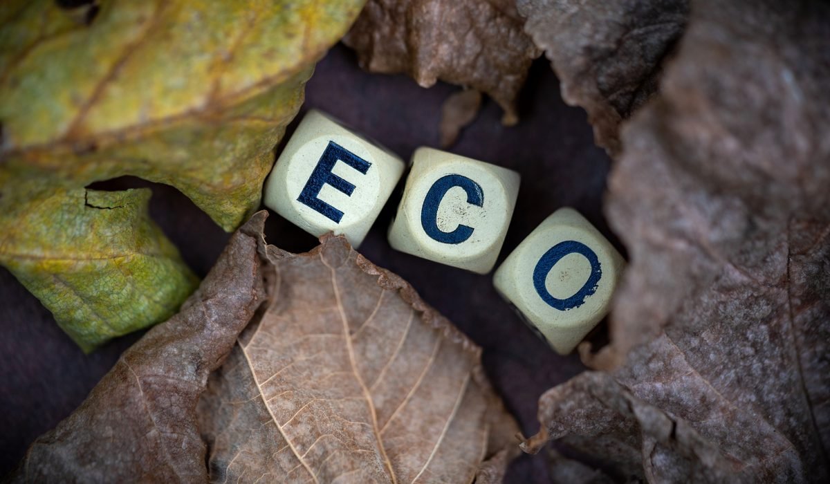 Eco friendly concept with wooden block on brown leaves background.